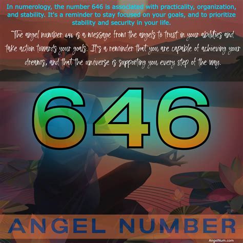 646.com