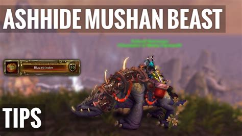 beasttips