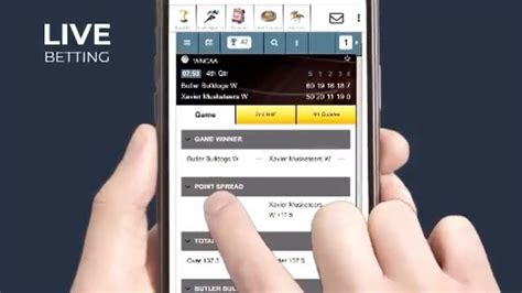linetracker365.com