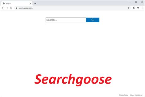 searchgoose