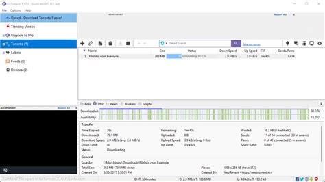 torrent.